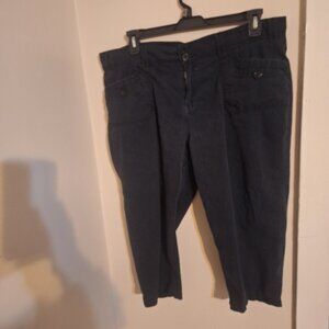 fashion bug pants size 20